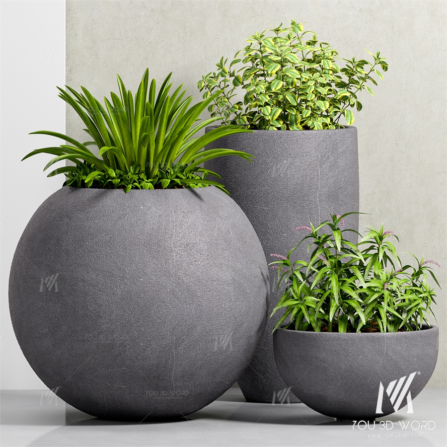 PLANT-39